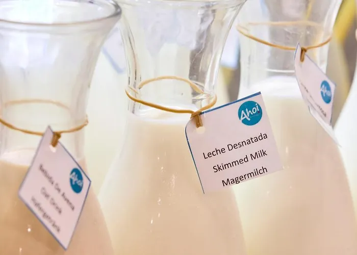 Ahoi! Urban 3* 埃尔阿雷纳尔